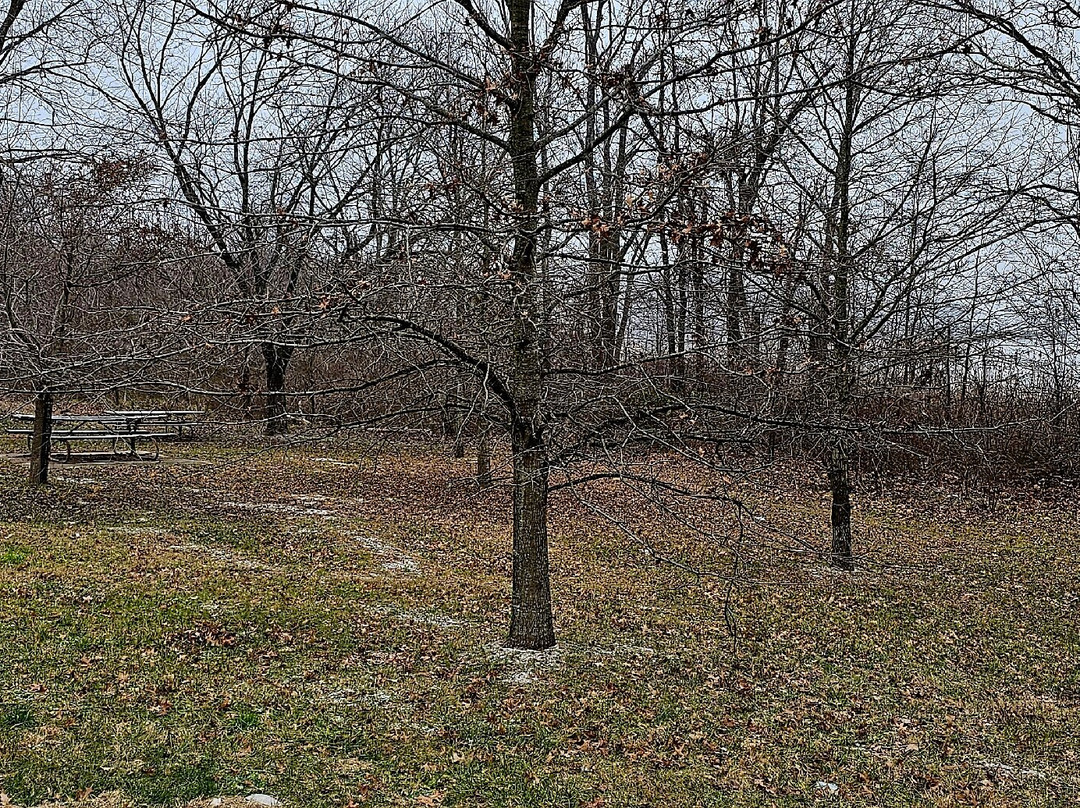 John Smith Roadside Park景点图片