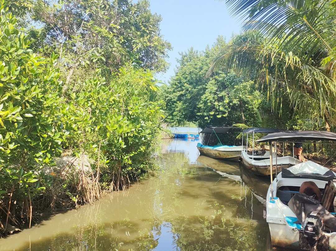 Koggala Lake Boat Safari With Malish景点图片