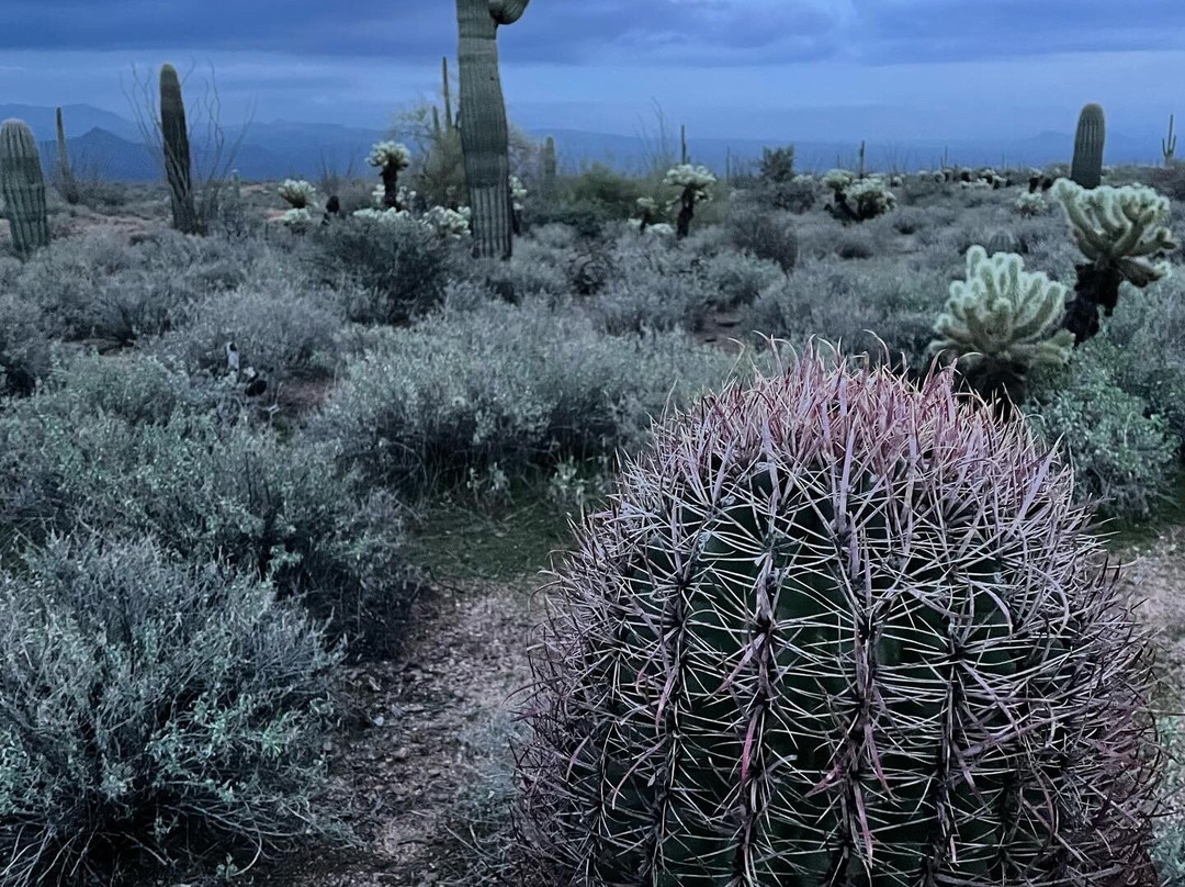 Scottsdale Adventure Tours-斯科茨代尔必去景点