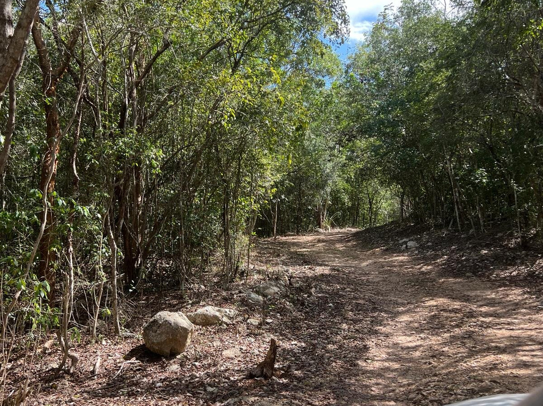 Cenote Kax Ek-Tinum必去景点