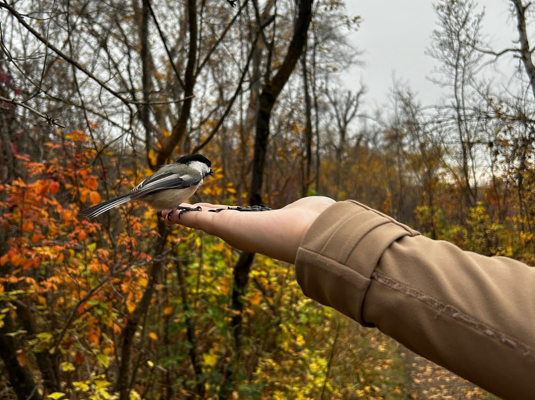 Beaver Creek Conservation Area-萨斯卡通必去景点