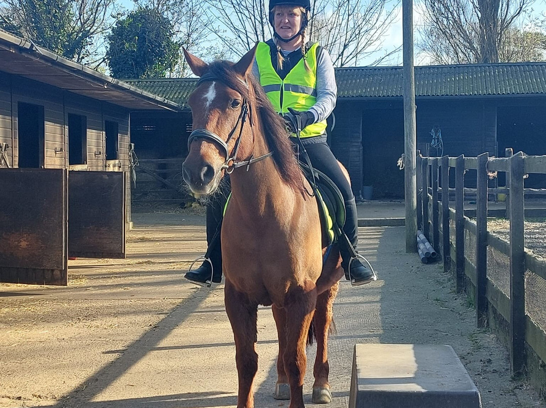 Pakefield Riding School-洛斯托夫特瓷必去景点