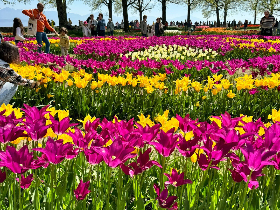Parc de l'Indépendance-莫尔日必去景点