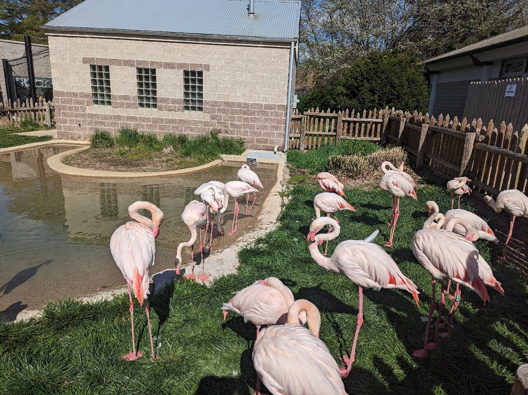 Miller Park Zoo-布卢明顿必去景点