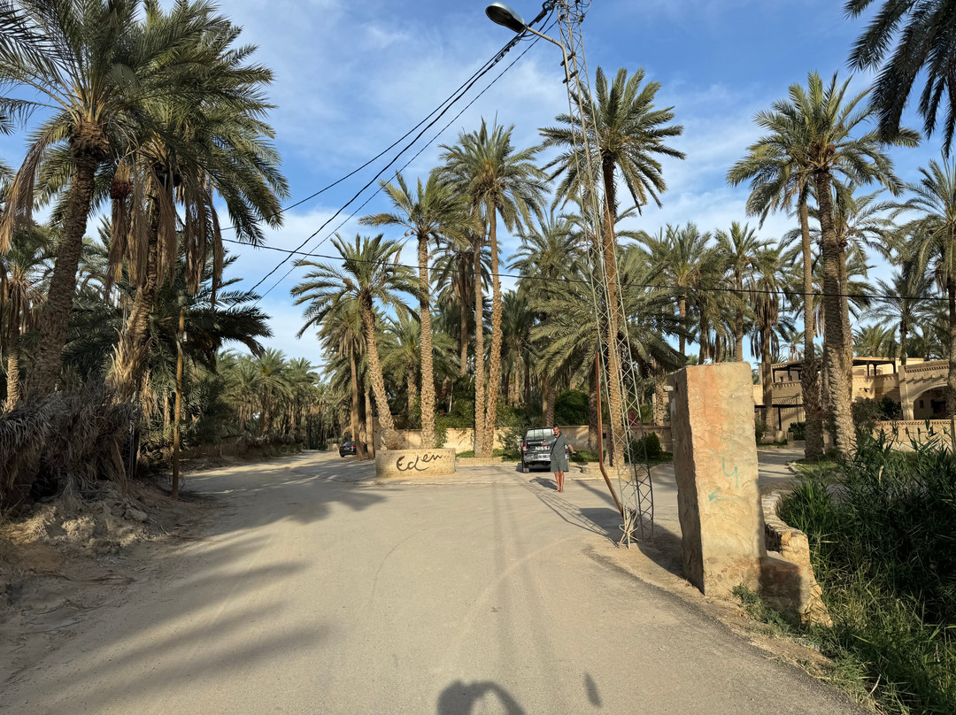 Eden Palm Tresors de l'Oasis-吐泽尔必去景点