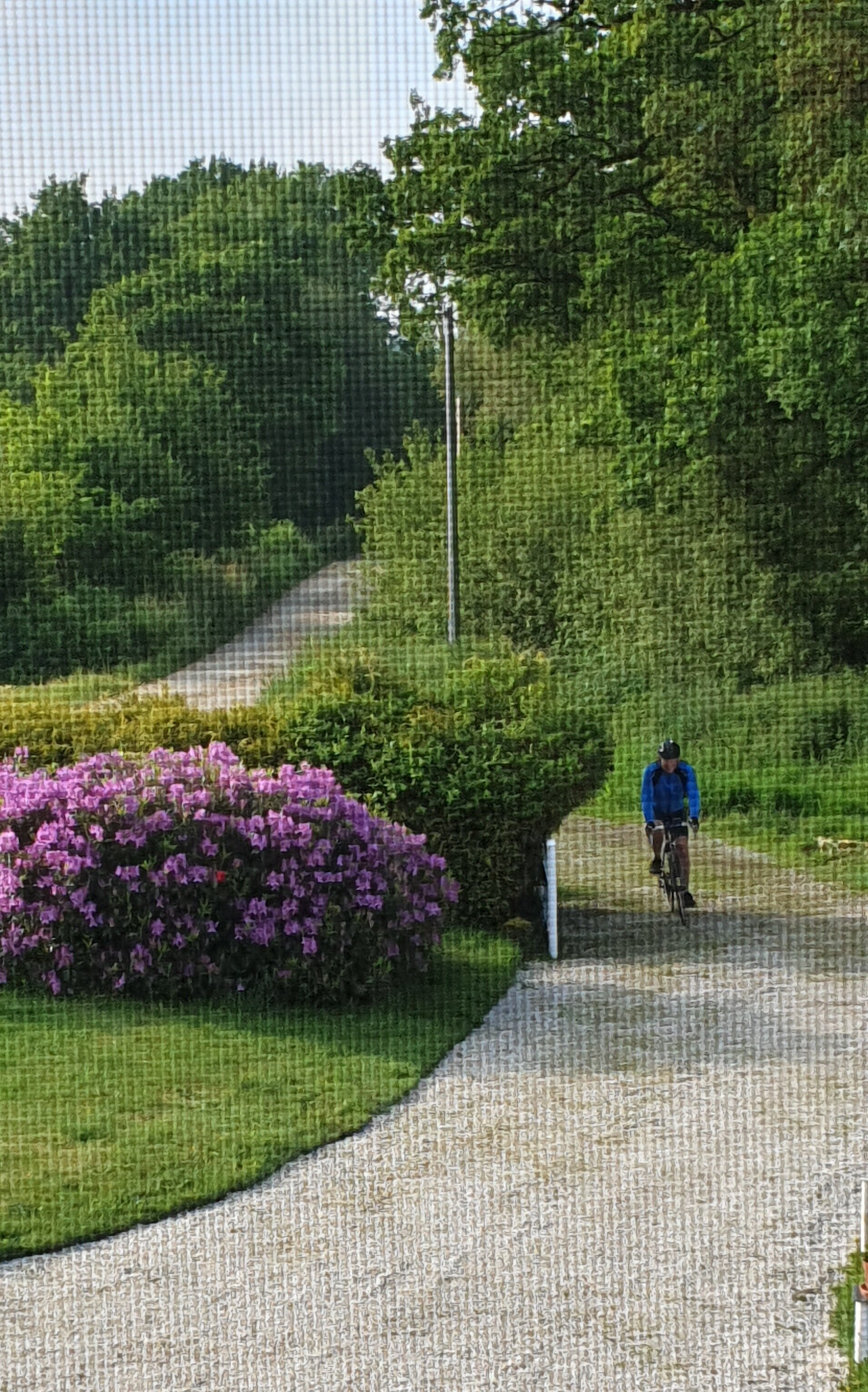 Le Parfum Des Fleurs-官方