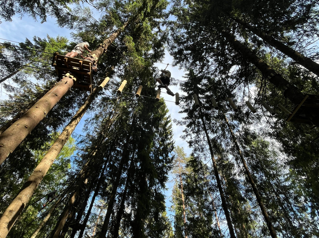 Oslo Klatrepark-奥斯陆必去景点