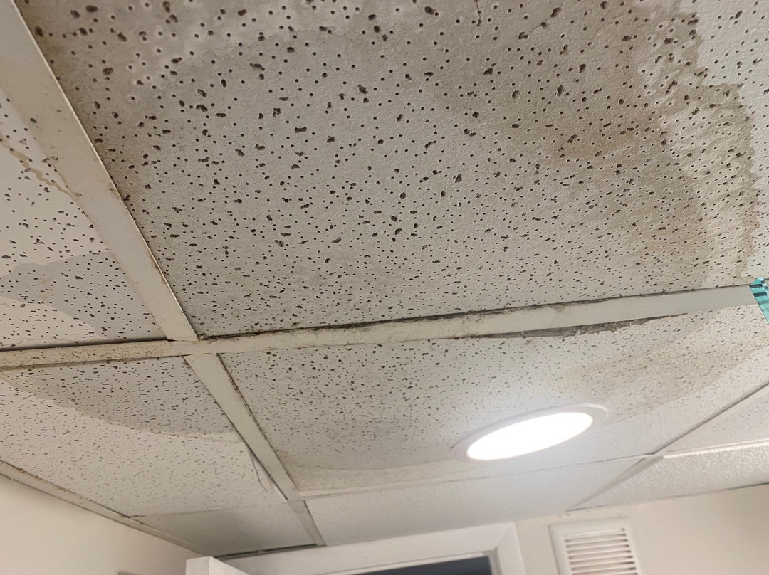 The Shore Club主图