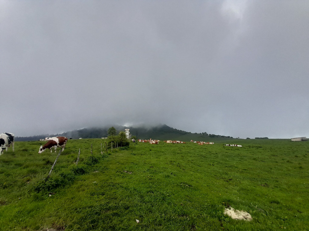 Parco Naturale Regionale della Lessinia景点图片