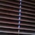 janinep284