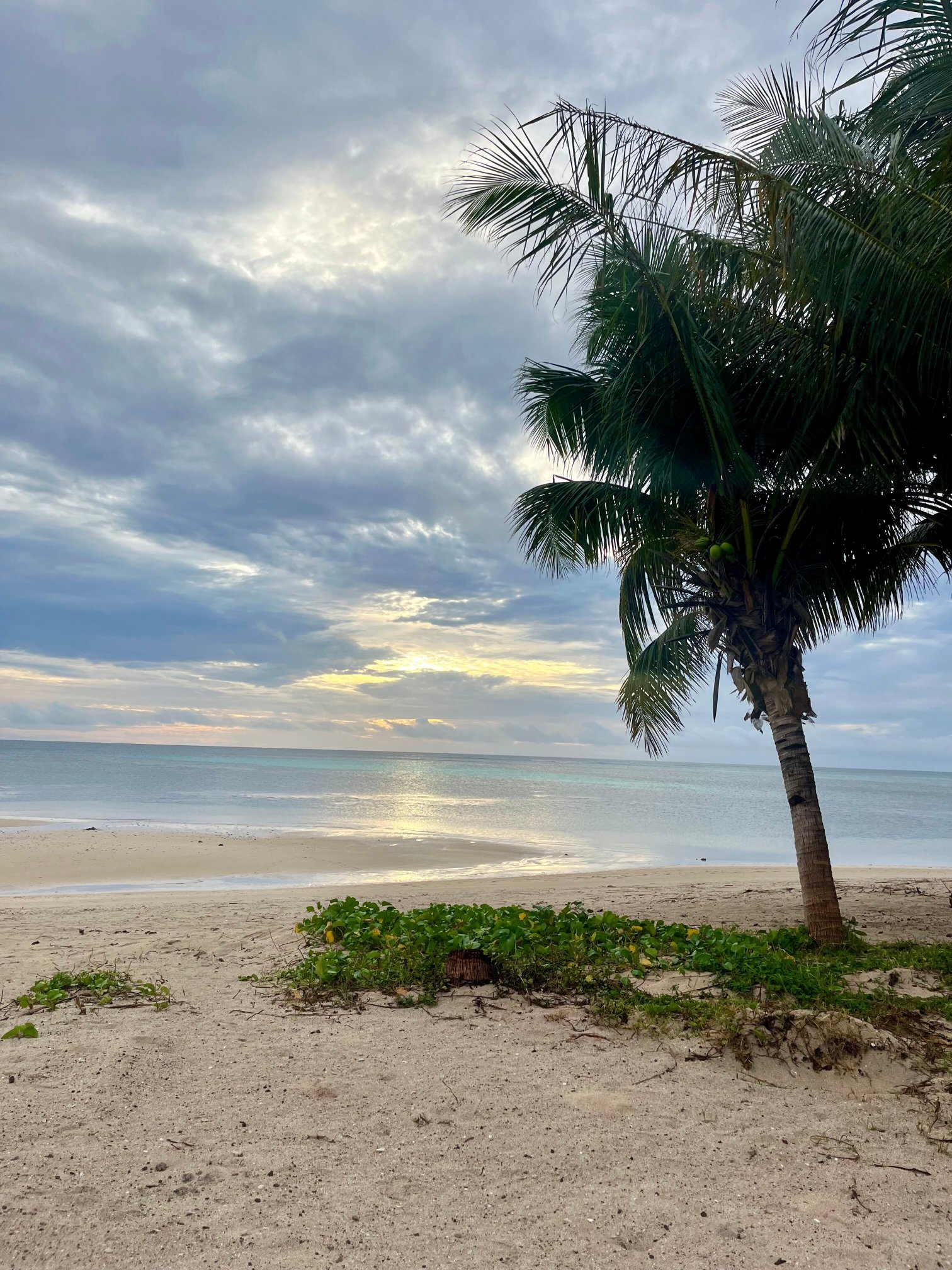 蓝礁湖海滩度假酒店-泳池