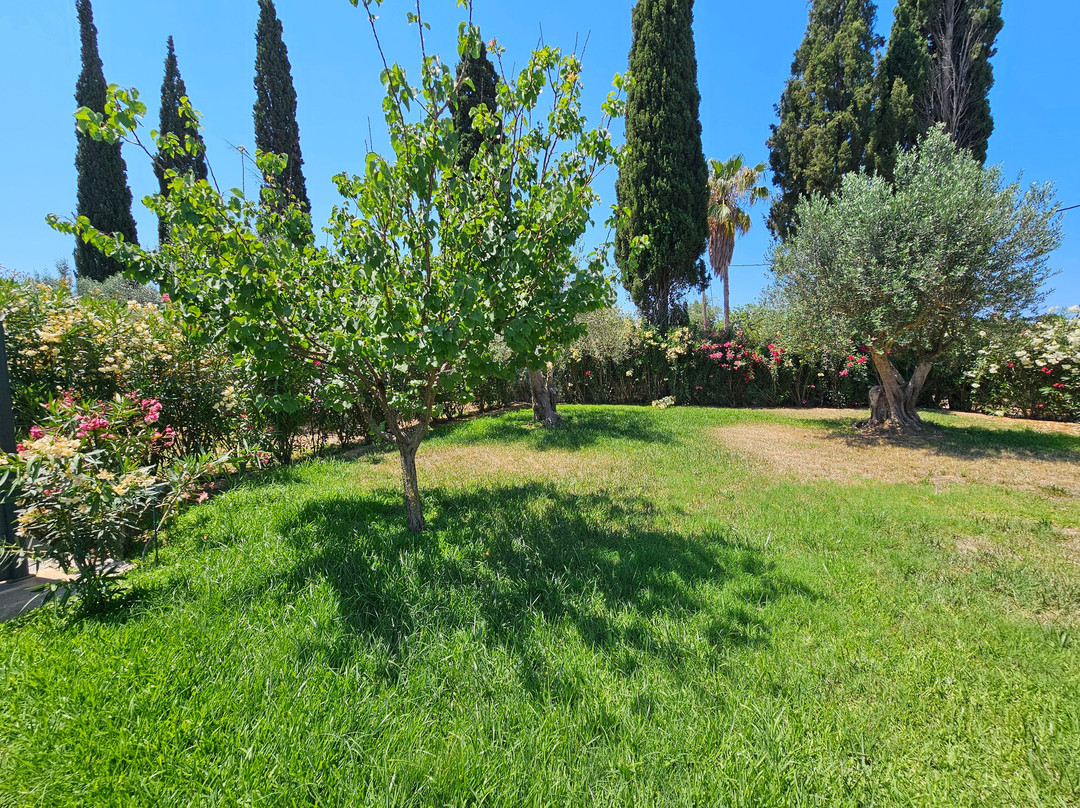 Cypress Garden Villas主图