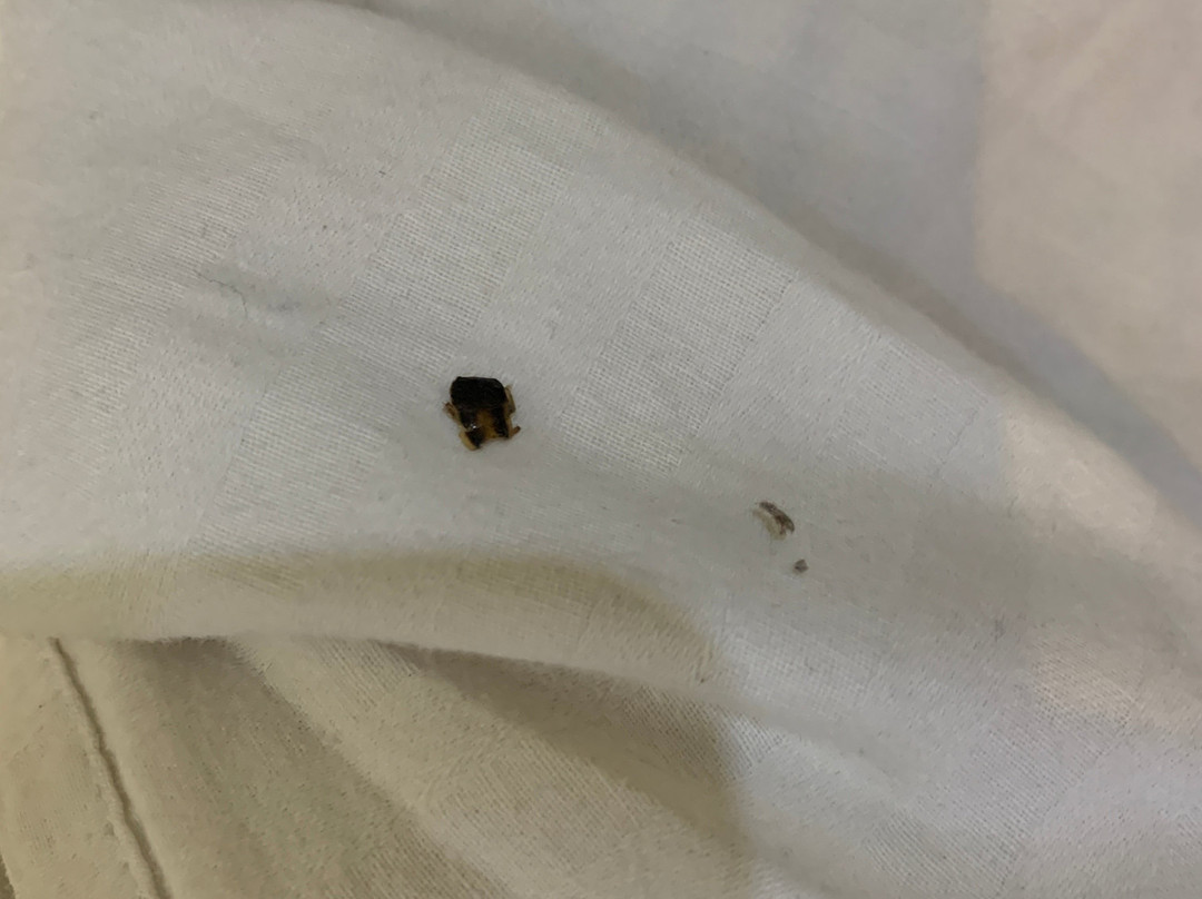 MB国际酒店主图