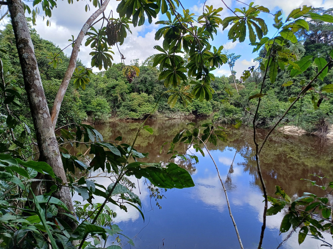 Amazon Explorer-伊基托斯必去景点