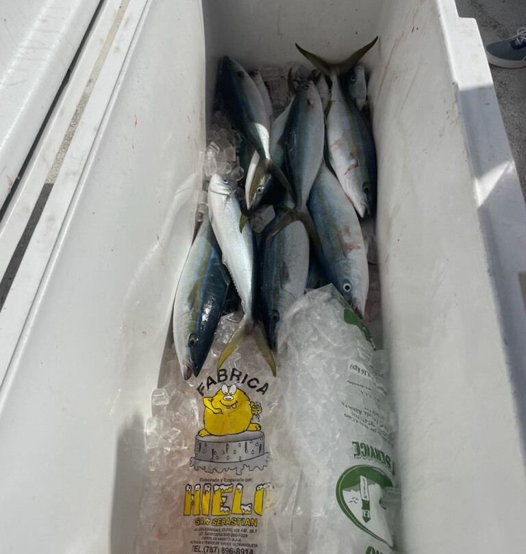 Fathom Charters-吕康必去景点