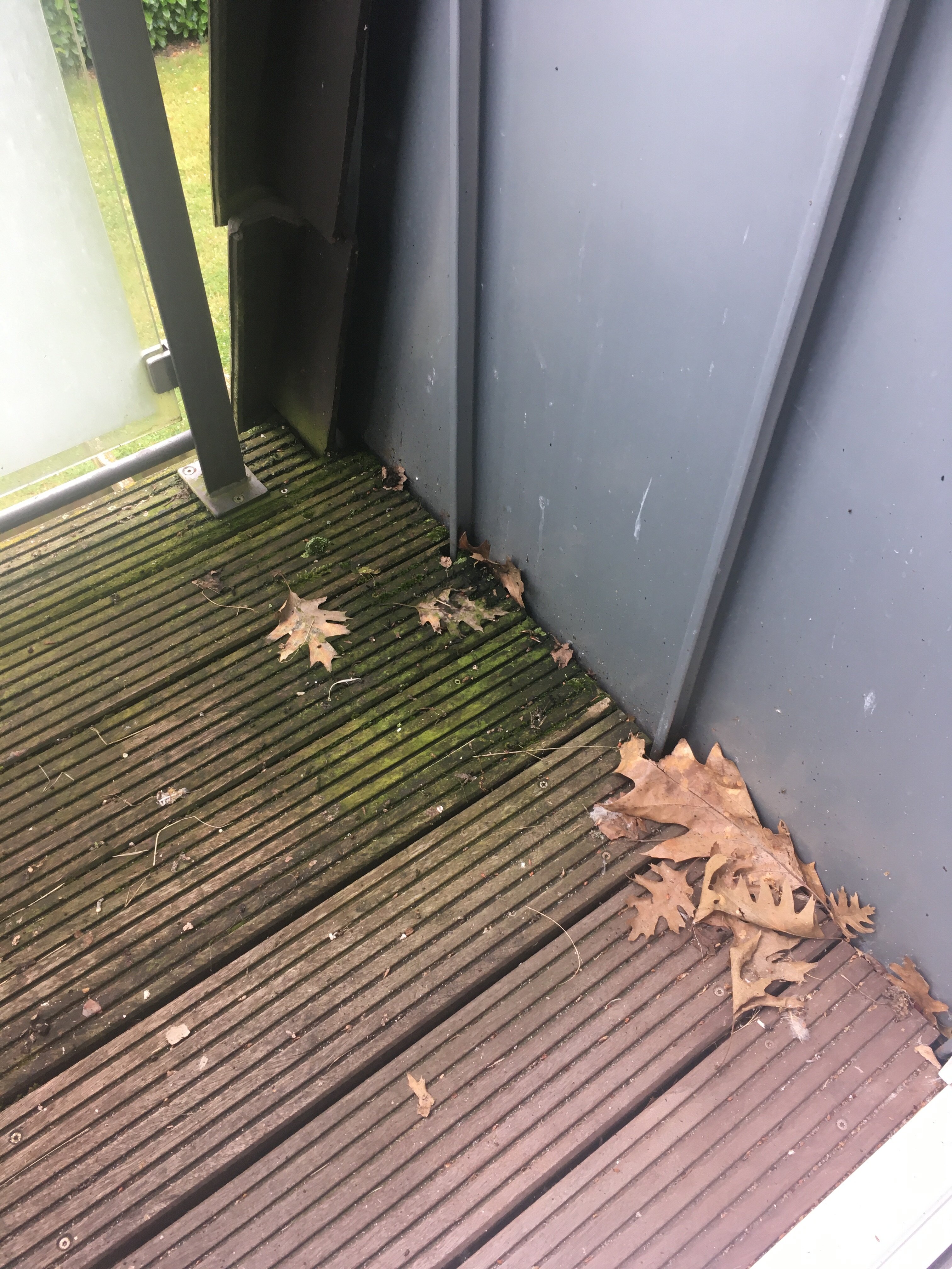 Zum Hasen Hein-官方