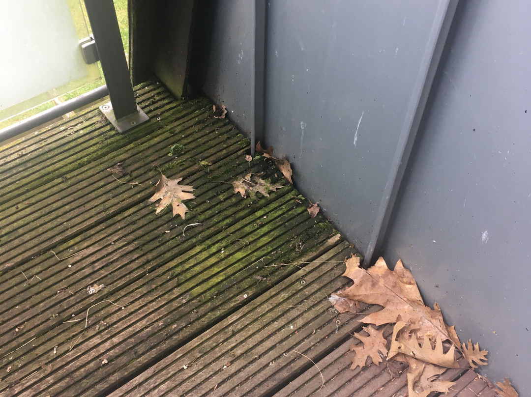 Zum Hasen Hein主图