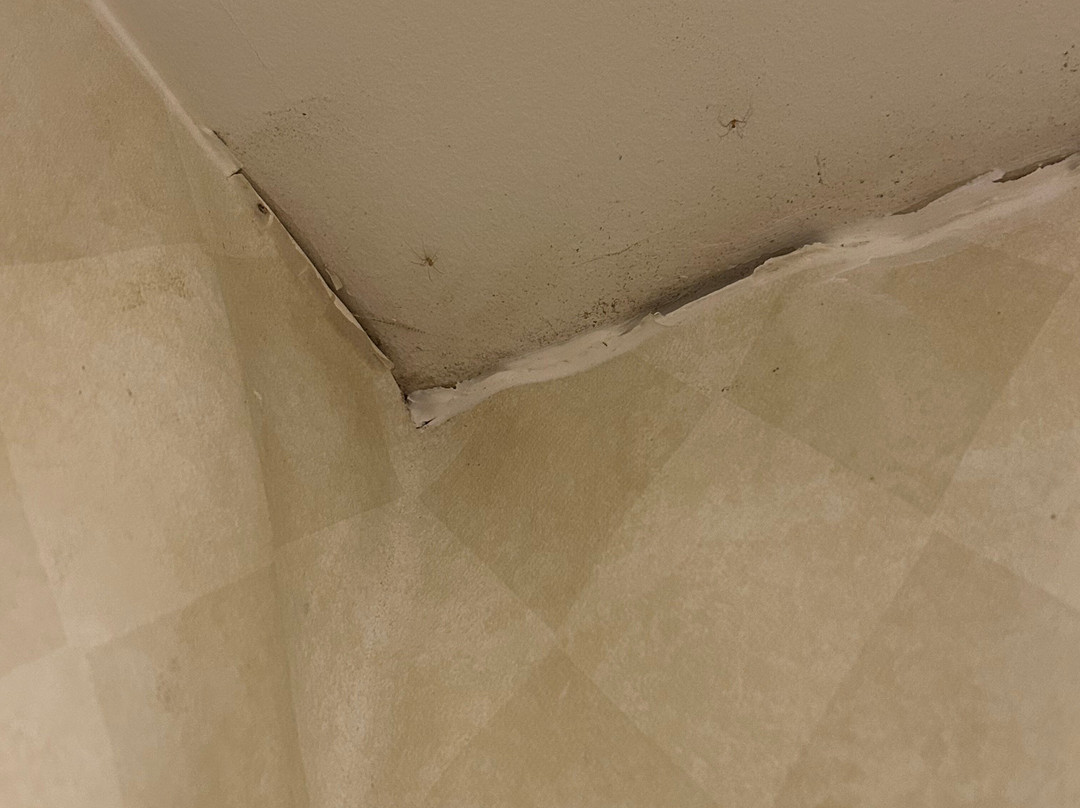 奥本山品质旅馆主图