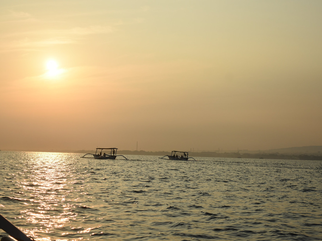 Mang Nono Dolphin Tour-新加拉惹必去景点