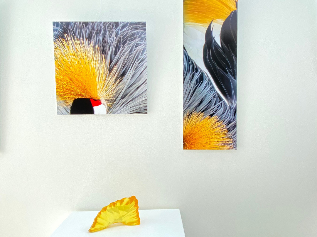 Gallery O景点图片
