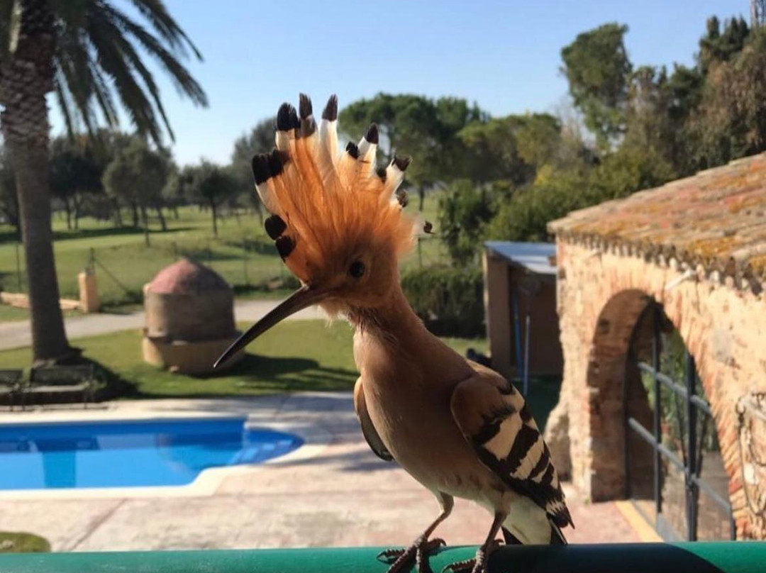 Masía Rural Ca La Caputxeta主图