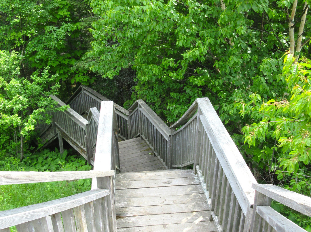 Sentier Du Parc De Nos Ancêtres景点图片