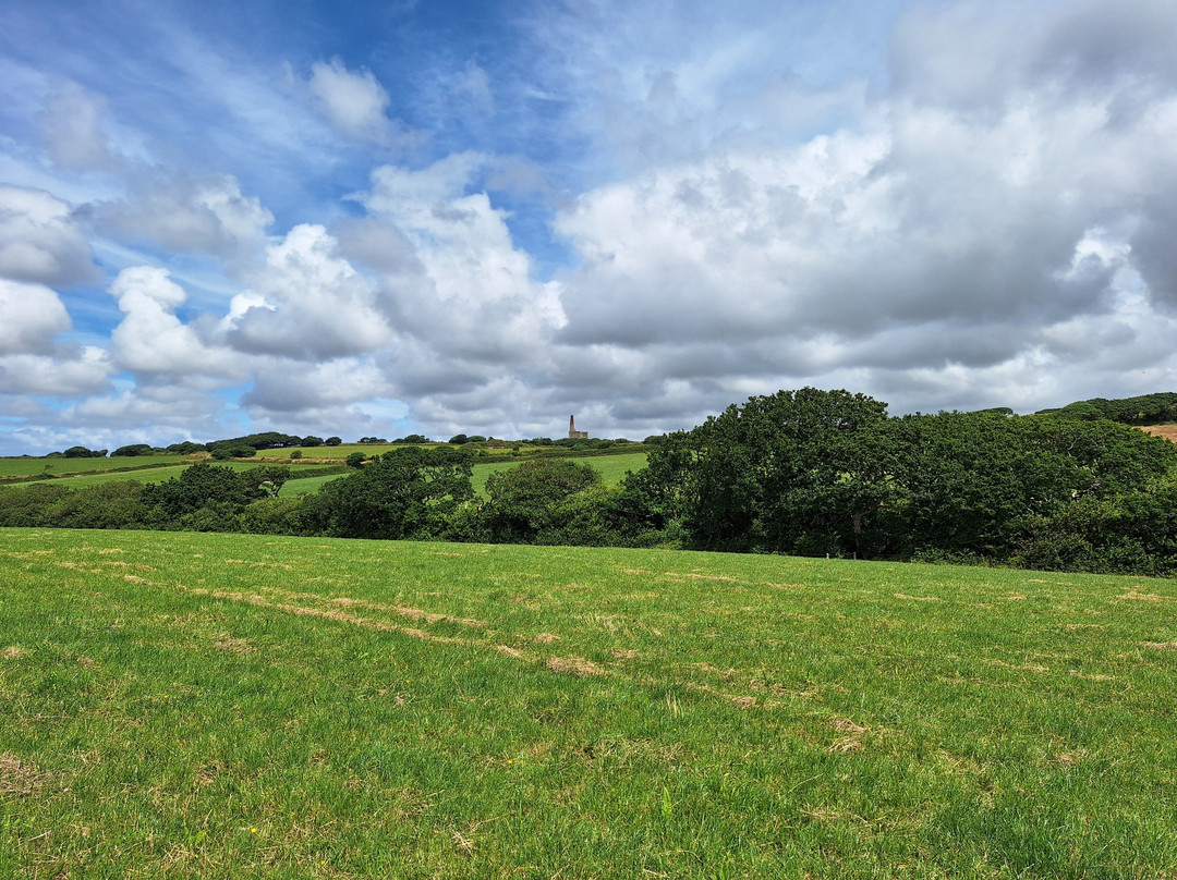 Callestick and Ventongimps Circular Walk-Penhallow必去景点