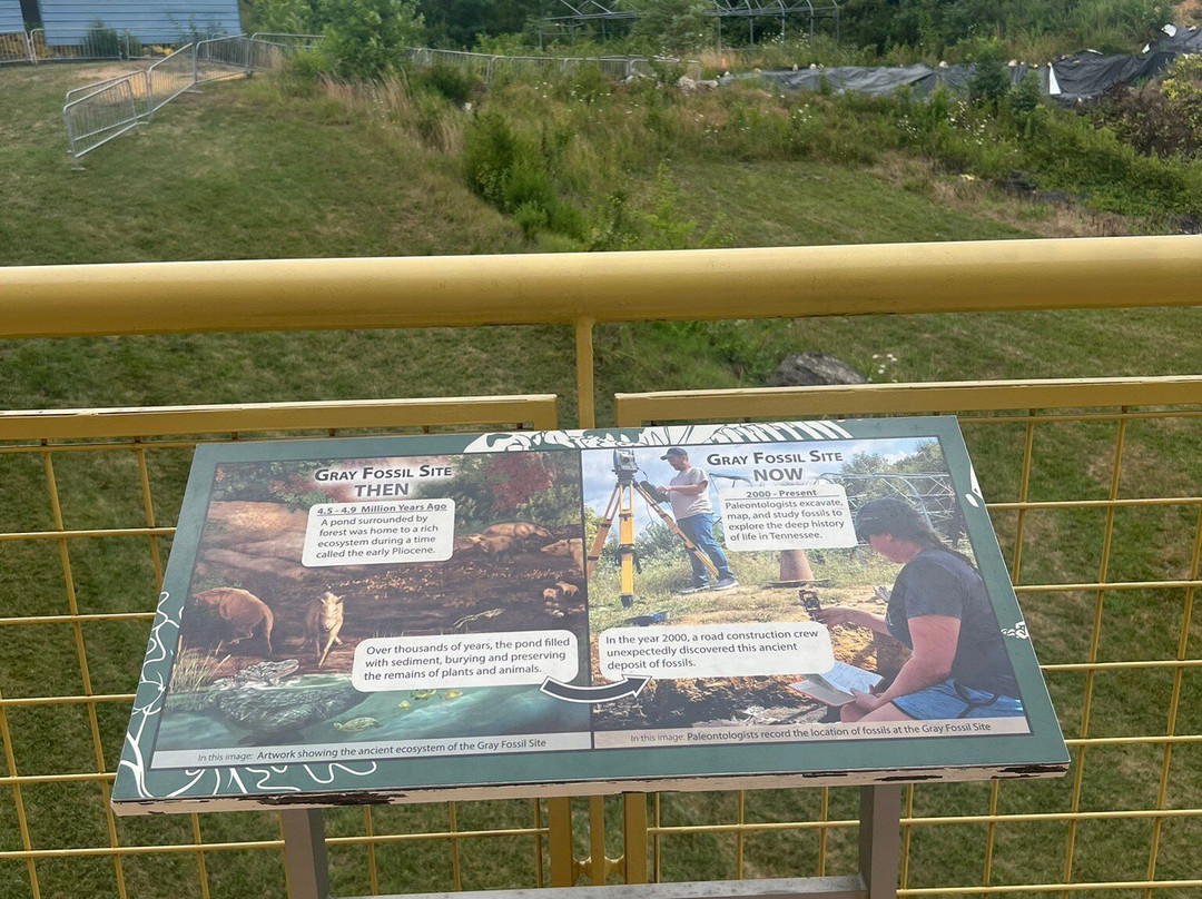 Gray Fossil Site-Gray必去景点