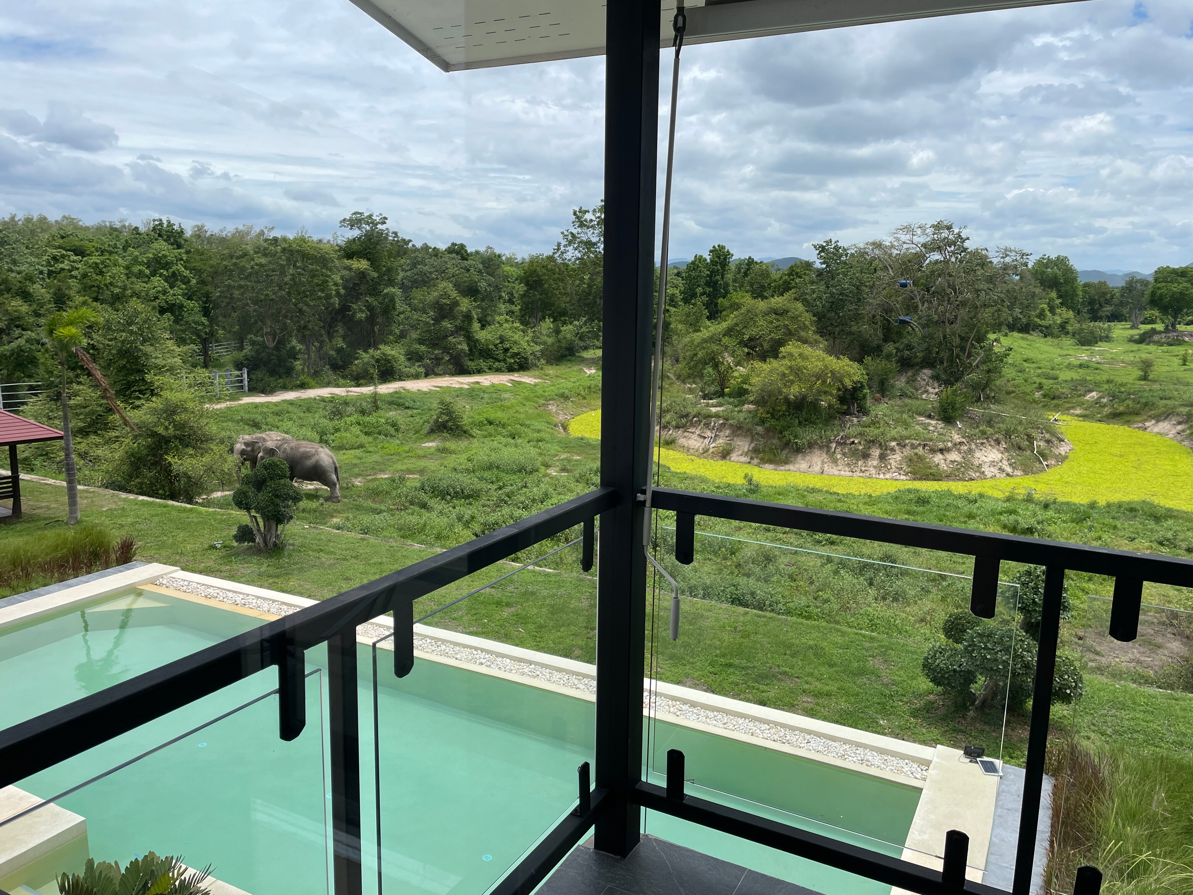 I love phants Lodge-酒店景观