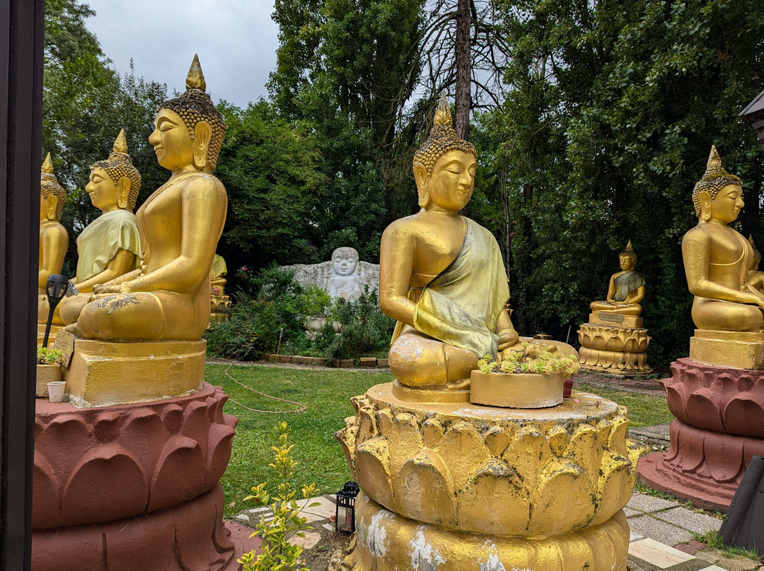 Wat Thammapathip景点图片