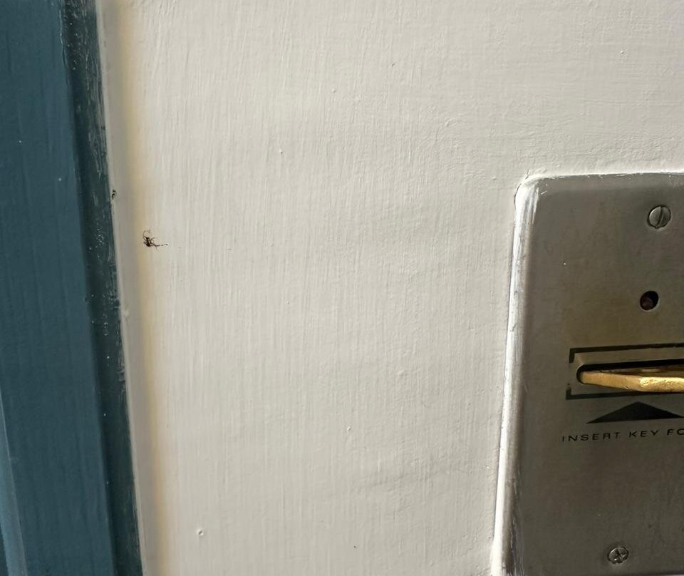 Makronisos Holiday Village主图