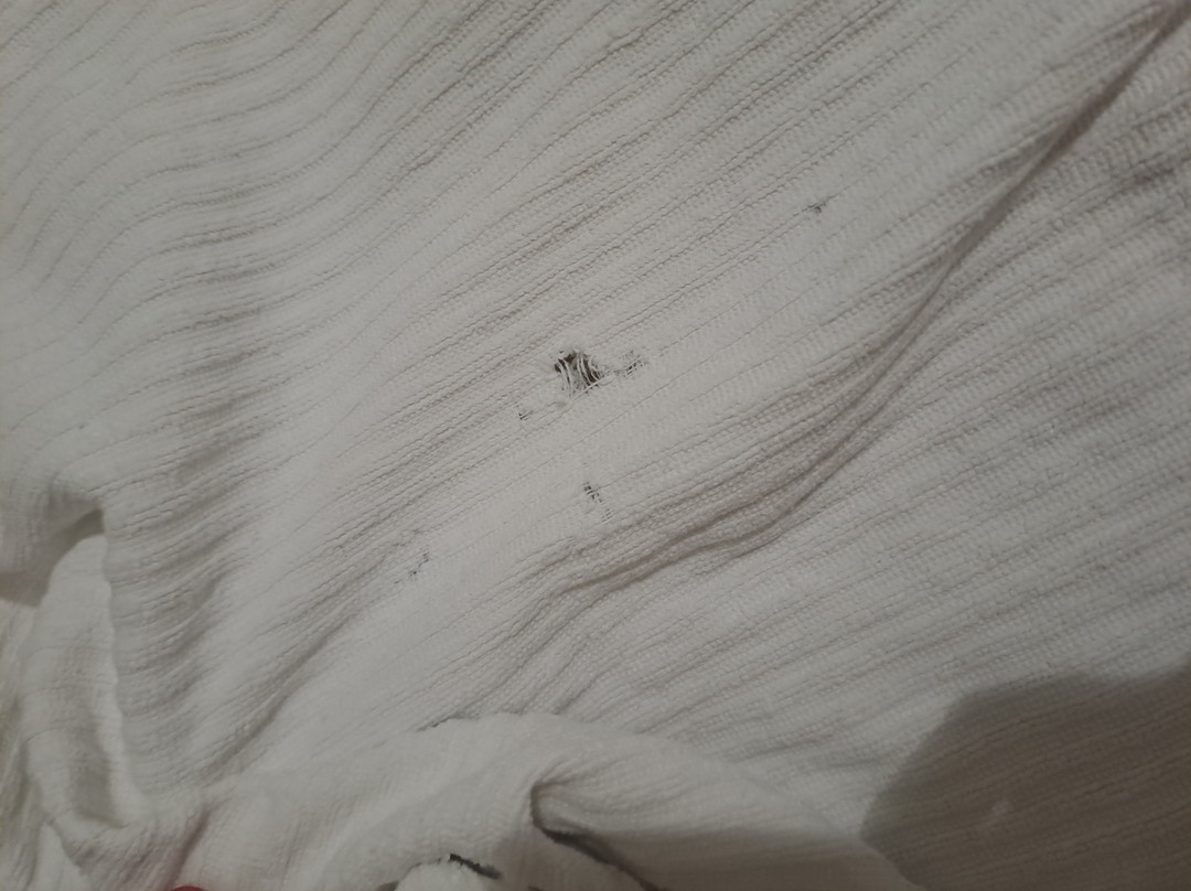 泰努塔莫雷诺酒店主图