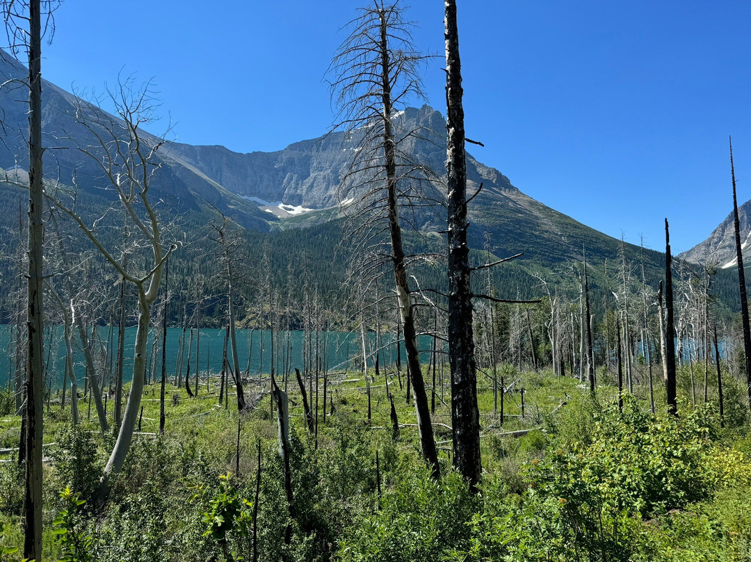 Baring Falls-冰河国家公园必去景点