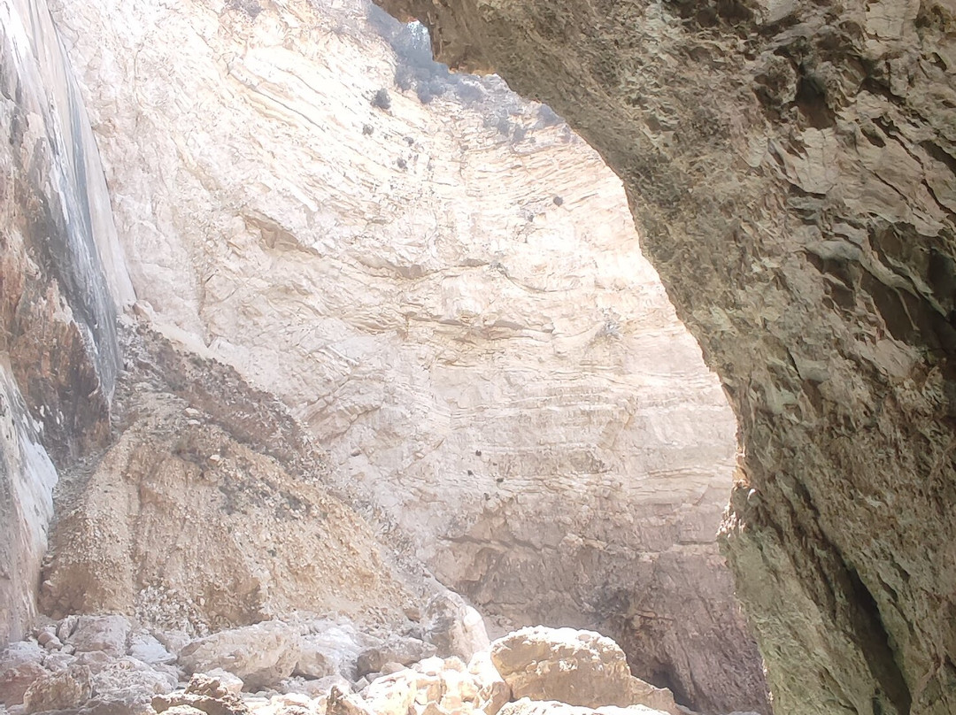 Glass Bottom Boat Poseidon Day Trips-赫索尼索斯必去景点