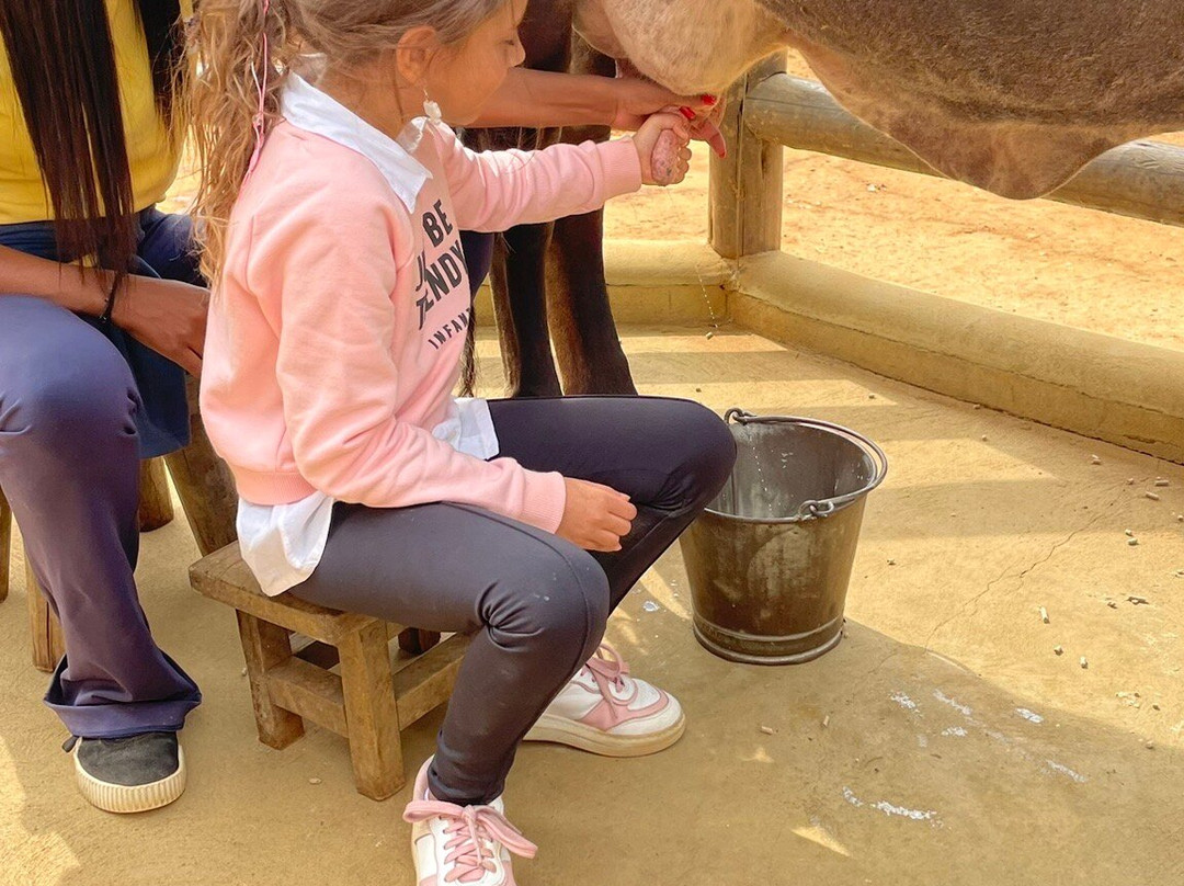 Mini Fazenda Pet Zoo-Cotia必去景点