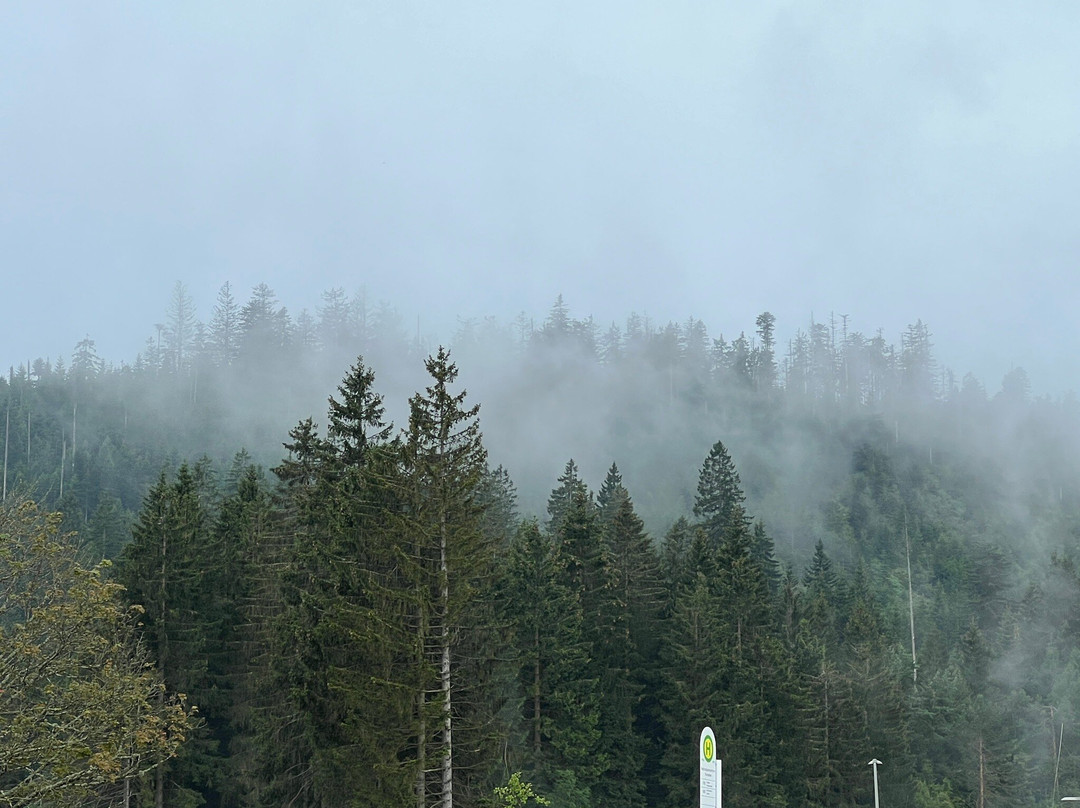 Nationaal park Schwarzwald-Seebach必去景点