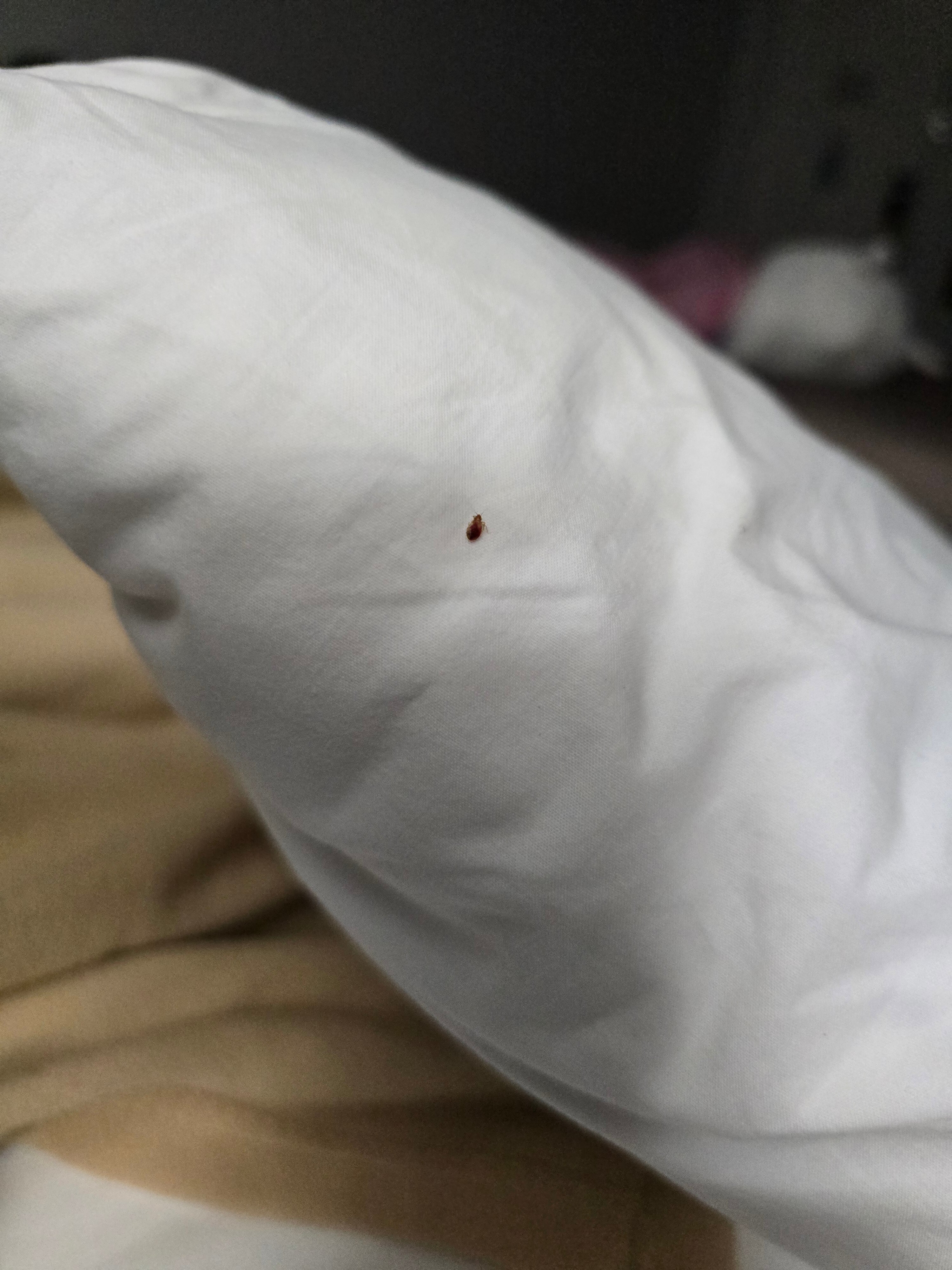 Motel 6   Coliseum-官方