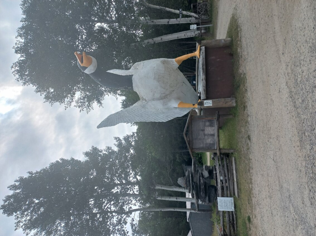 Young's General Store-Wawa必去景点