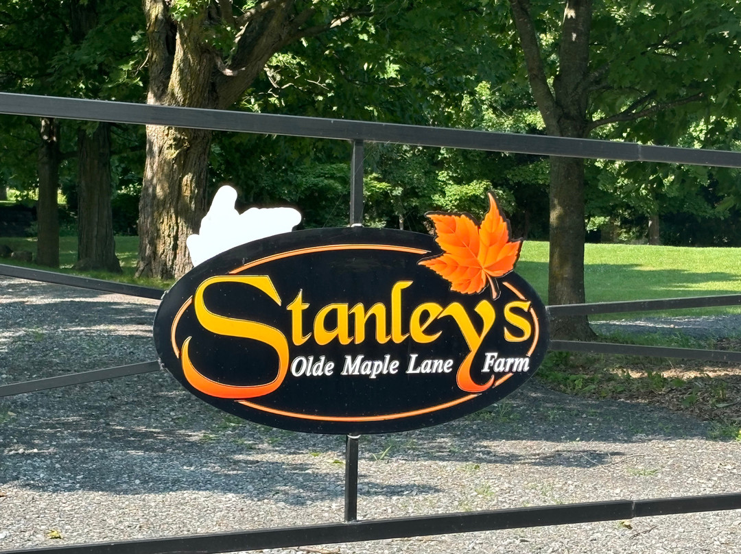 Stanley's Olde Maple Lane Farm景点图片