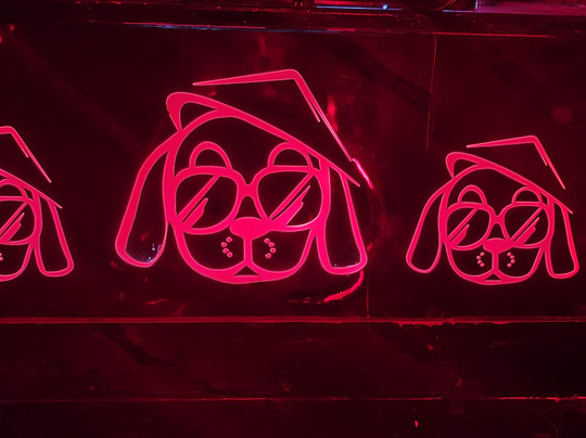 Hair Of The Dog Bar Hoi An-会安必去景点