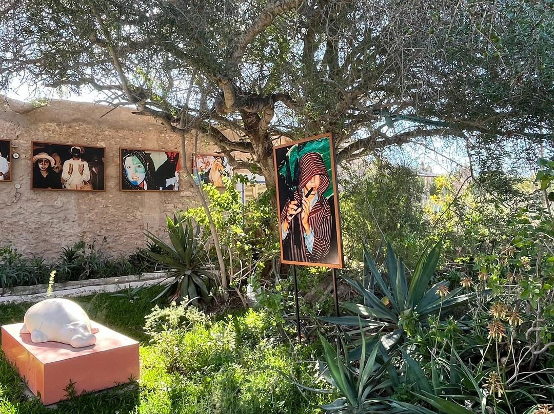 Jardin Michel Vu景点图片