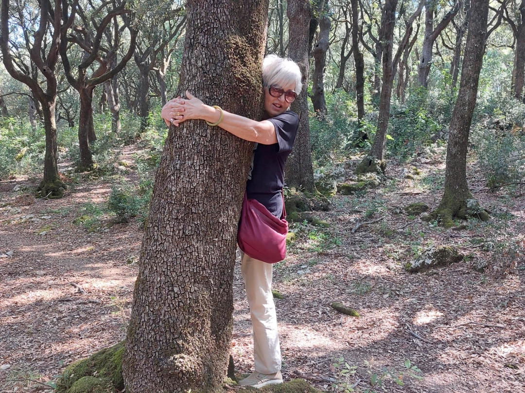 Albergo Paradiso主图