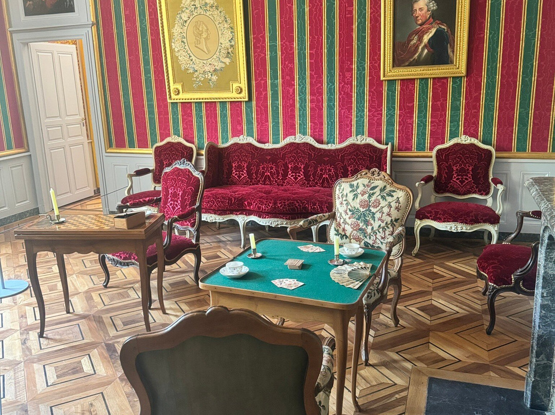Chateau de Voltaire景点图片