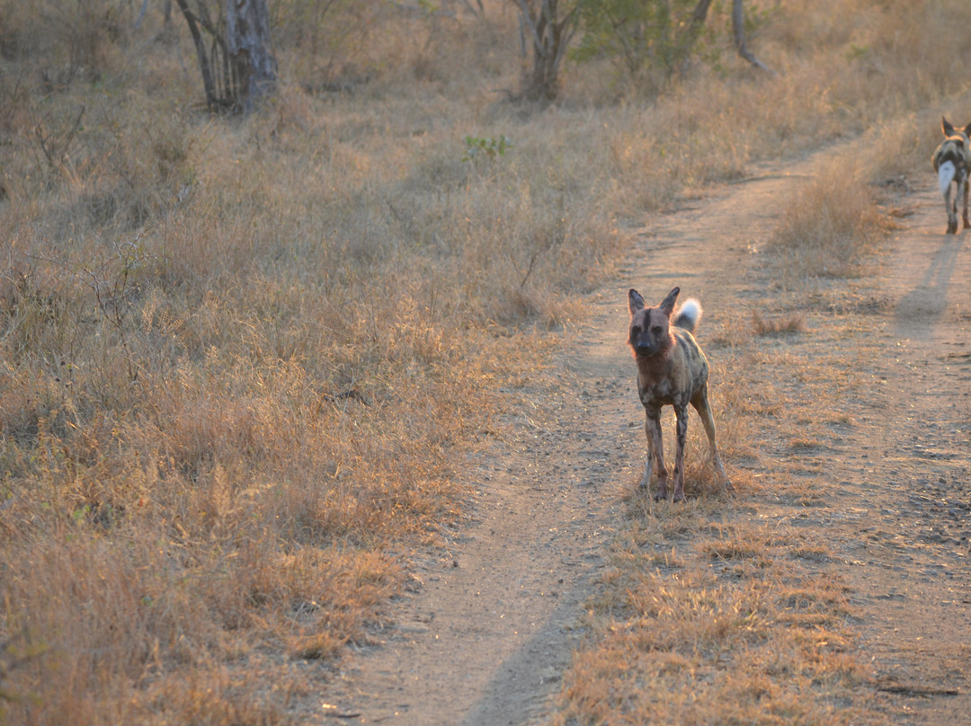 丛林漫步之旅酒店主图
