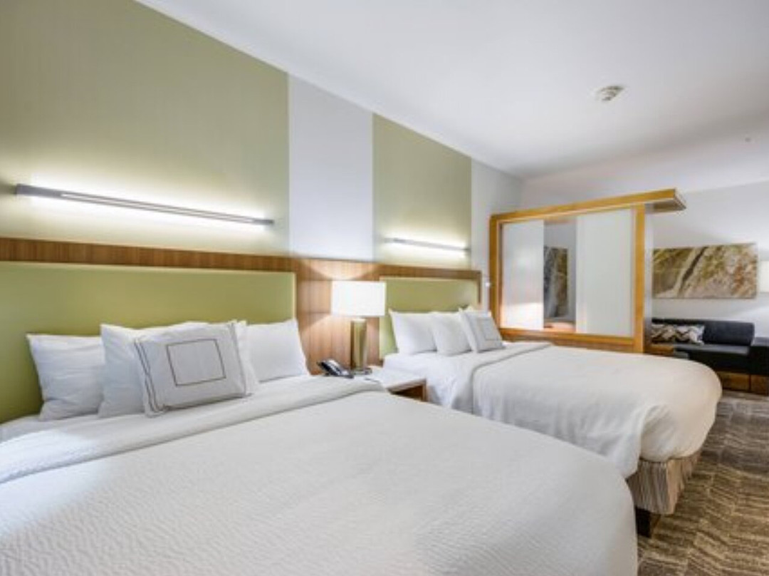 SpringHill Suites By Marriott Enid主图