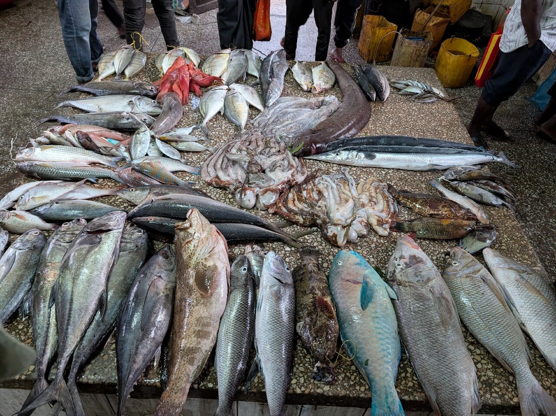 Wise Tour Guide-石头城必去景点