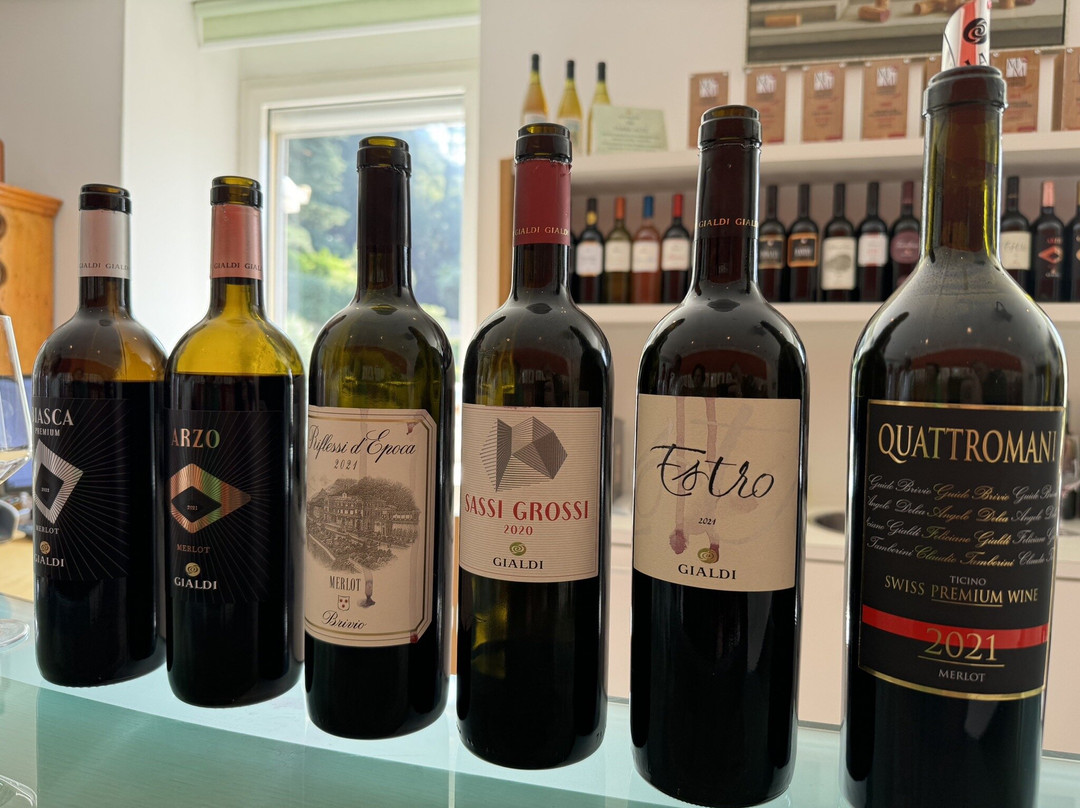 Gialdi Vini SA-门德里西奥必去景点