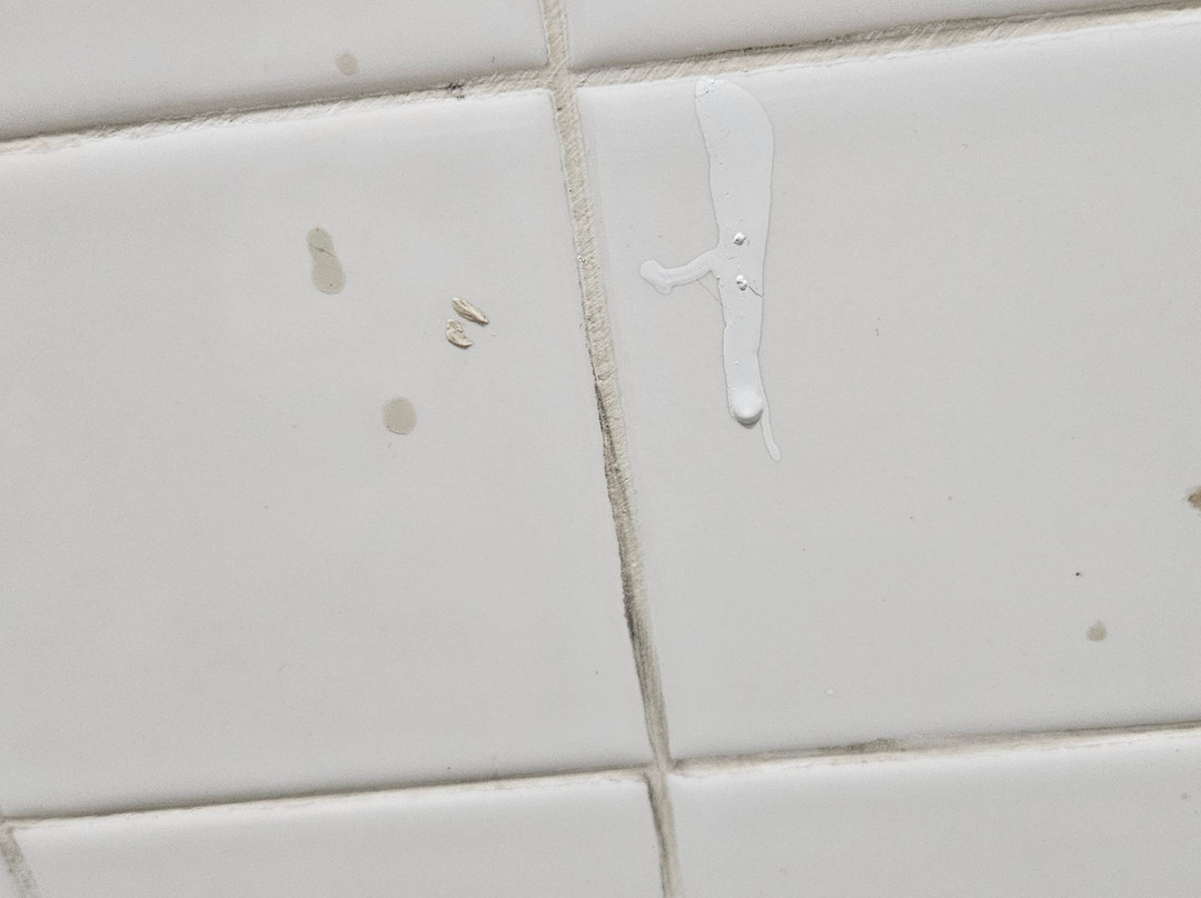 Charleston Creekside Inn主图