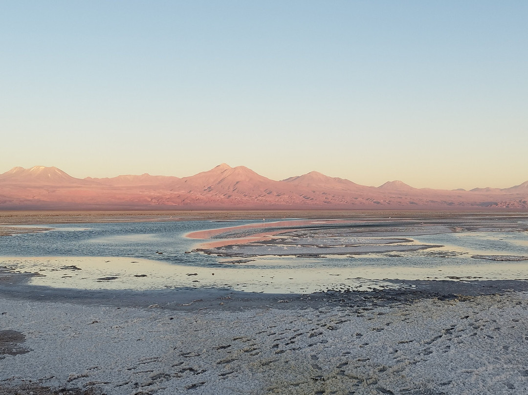 Laguna Chaxa-圣佩德罗-德阿塔卡马必去景点