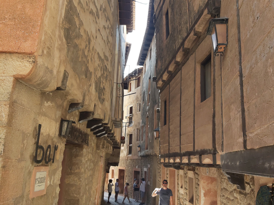 Calle Portal de Molina景点图片